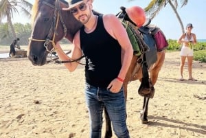 Punta Cana: Guided Horseback Tour of Beaches and Fields