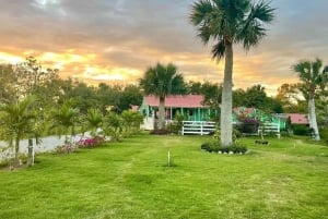 Punta Cana: Guided Horseback Tour of Beaches and Fields