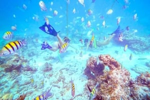 Punta Cana: Guided Power Dive Adventure