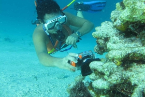 Punta Cana : aventure guidée en plongée sous-marine