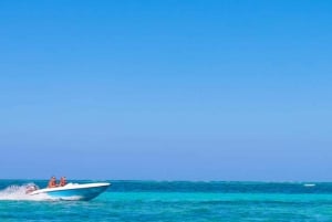 Punta Cana: Experiencia guiada en lancha rápida por la costa