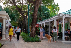 Punta Cana : Visite guidée avec dégustations et plage de Macao