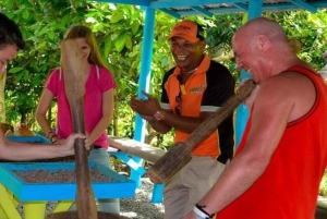 Punta Cana: Hacienda Tuko Buggy, Zipline, & Horseback Tour