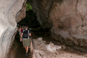 Punta Cana: Haitises, Cano Hondo, Redonda Mountain Day Trip