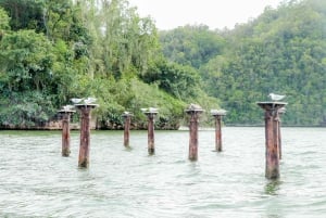 Punta Cana: Haitises, Cano Hondo, Redonda Mountain Day Trip