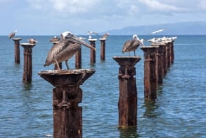 Punta Cana: Haitises, Cano Hondo, Redonda Mountain Day Trip