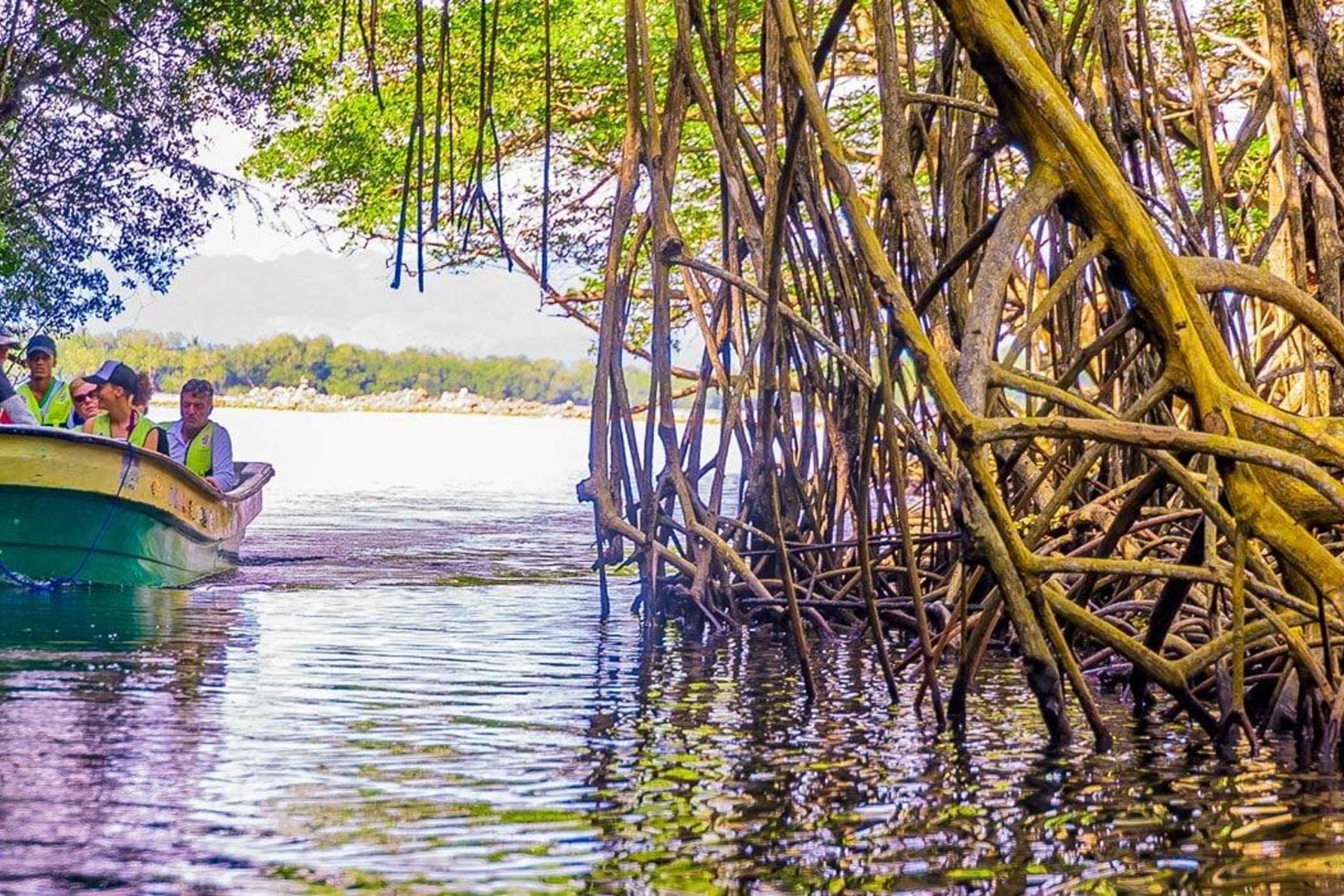 Punta Cana: Haitises, Montaña R. & Horse Ride Limón Beach