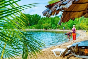 Punta Cana: Haitises, Montaña R. & Horse Ride Limón Beach