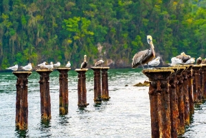 Punta Cana: Haitises, Montaña R. & Horse Ride Limón Beach