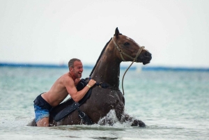 Punta Cana: Haitises, Montaña R. & Horse Ride Limón Beach