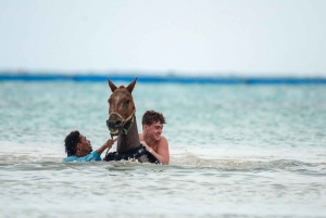 Punta Cana: Haitises, Montaña R. & Horse Ride Limón Beach