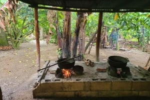 Punta Cana: Half-Day Cultural Safari to Higüey with Lunch