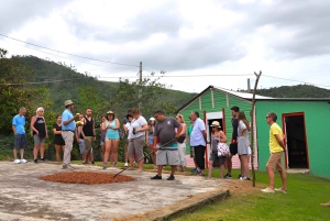 Punta Cana: Halvdagstur med dominikansk kultur og Higuey City