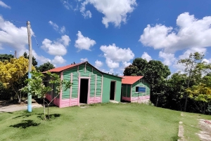 Punta Cana: Halvdagstur med dominikansk kultur og Higuey City