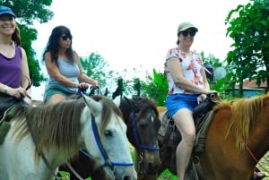 Punta Cana: Half Day Dominican Cultural and Higuey City Tour