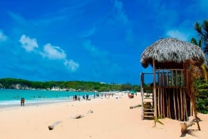 Punta Cana: Half Day Dominican Cultural and Higuey City Tour