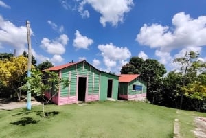 Punta Cana: Half Day Dominican Cultural and Higuey City Tour