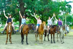 Punta Cana: Half Day Dominican Cultural and Higuey City Tour