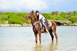 Punta Cana: Half Day Dominican Cultural and Higuey City Tour