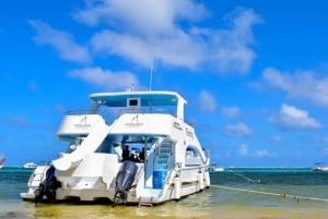 Punta Cana: Half-Day Snorkeling & Natural Pool Tour