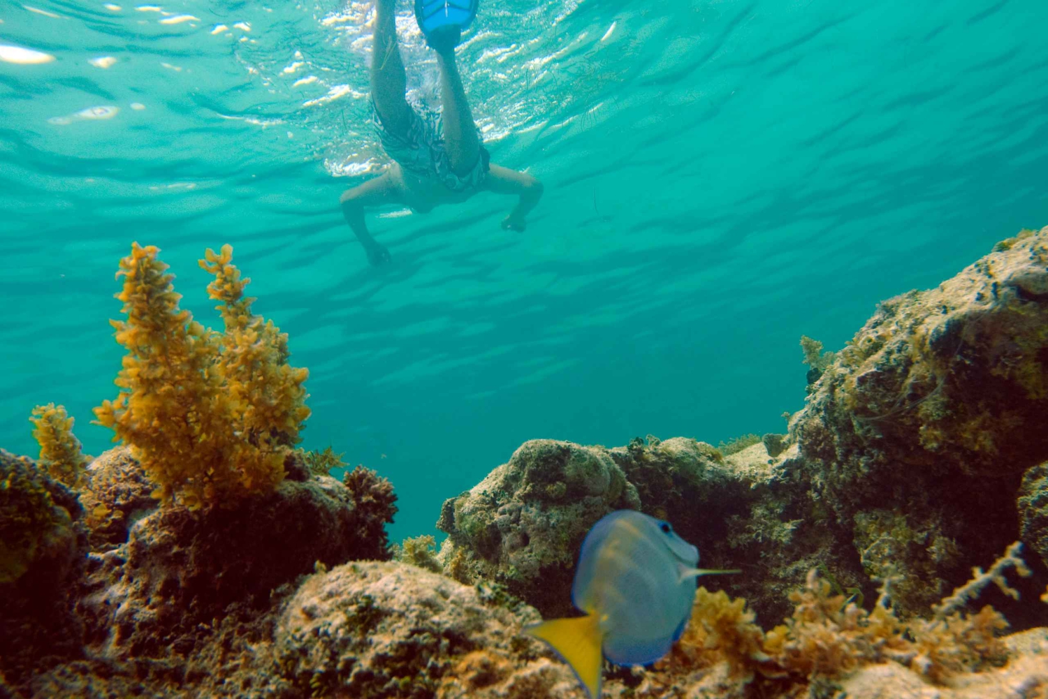 Punta Cana Happy Hour Rejs pod żaglami