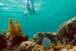 Punta Cana Happy Hour Sailing Cruise