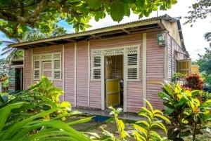 Punta Cana: wycieczka po mieście Higüey z bazyliką i wizytą na targu