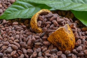 Punta Cana: Tour di degustazione di Higuey, caffè e cacao con pranzo