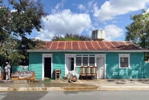 Punta Cana: Tour de degustação de Higuey, café e cacau com almoço