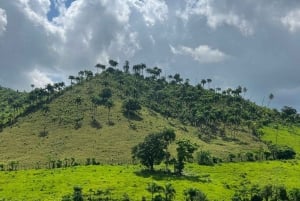 Punta Cana: Higuey, Coffee and Cocoa Tasting Tour with Lunch