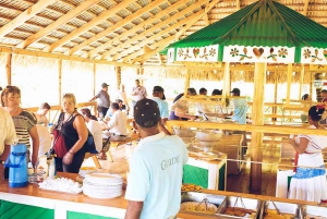 Punta Cana: Wycieczka kulturalna do Higuey Tour