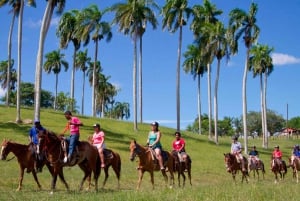 Punta Cana: Higuey Tour Udflugt Kulturel