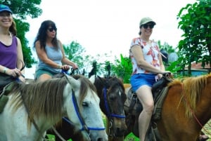 Punta Cana: Historische und kulturelle Tour Halbtagestour Safari