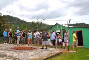 Punta Cana: Historische und kulturelle Tour Halbtagestour Safari