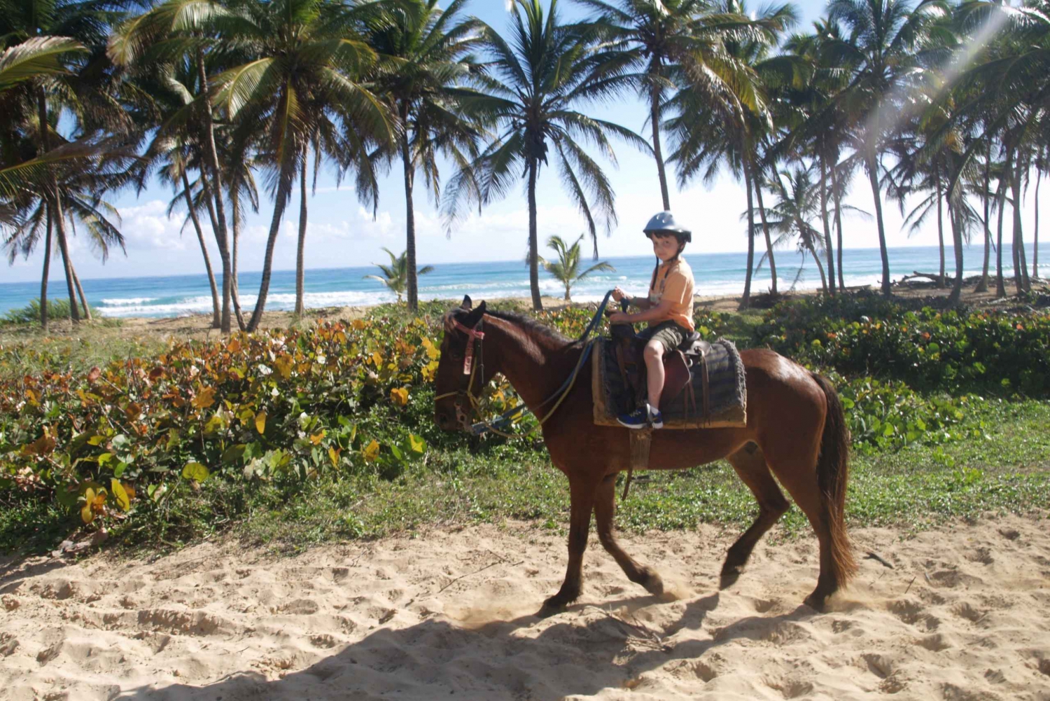 Punta Cana: Horseback Ride to Macao Beach