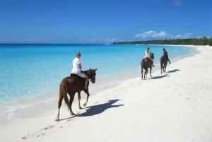 Punta Cana: Ridning med transport