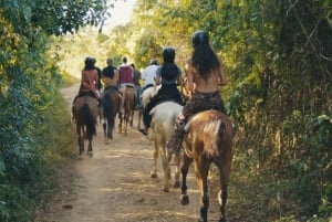 Punta Cana Ratsastus & Auringonlasku + ranta + ilmainen nouto