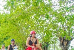 Punta Cana Ratsastus & Auringonlasku + ranta + ilmainen nouto