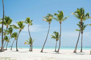 Punta Cana: Hoyo Claro Cenote and Juanillo Beach Tour