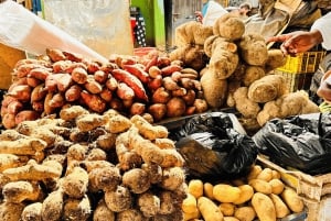 Punta Cana: Immersive Coffee, Cocoa & Culture Tour + Lunch