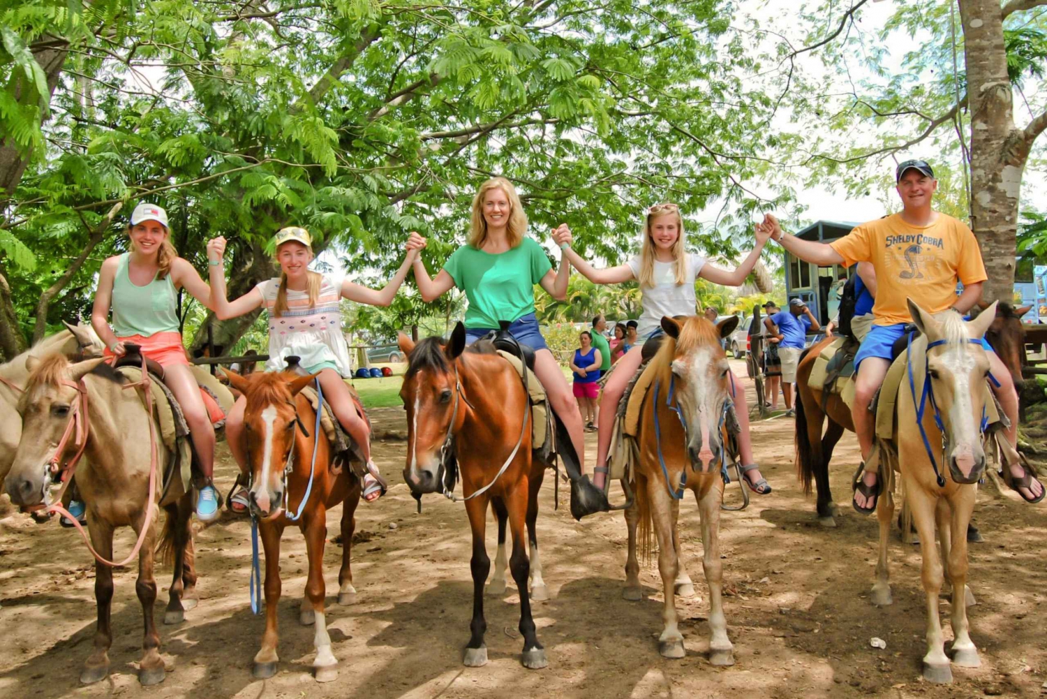 Punta cana: Incredible horse back riding experience day trip