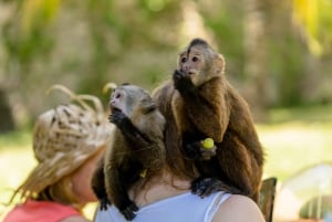 Punta Cana: Interactive Experience at Monkey House