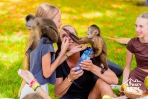 Punta Cana: Interactive Experience at Monkey House