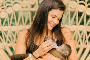 Punta Cana: Interactive Experience at Monkey House