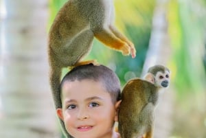 Punta Cana: Interactive Experience at Monkey House