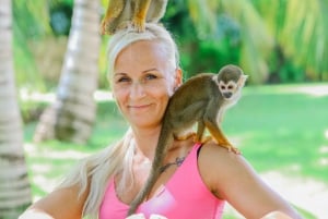 Punta Cana: Interactive Experience at Monkey House