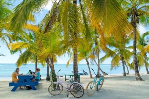 Punta Cana: Isla Saona päiväretki katamaraaniristeilyllä