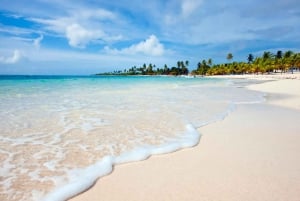 Punta Cana: Excursión de un día a Isla Saona con fiesta en catamarán