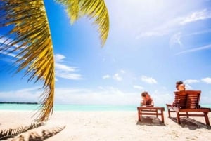 Punta Cana: Tour à Ilha Saona, comida em catamarã e bar aberto