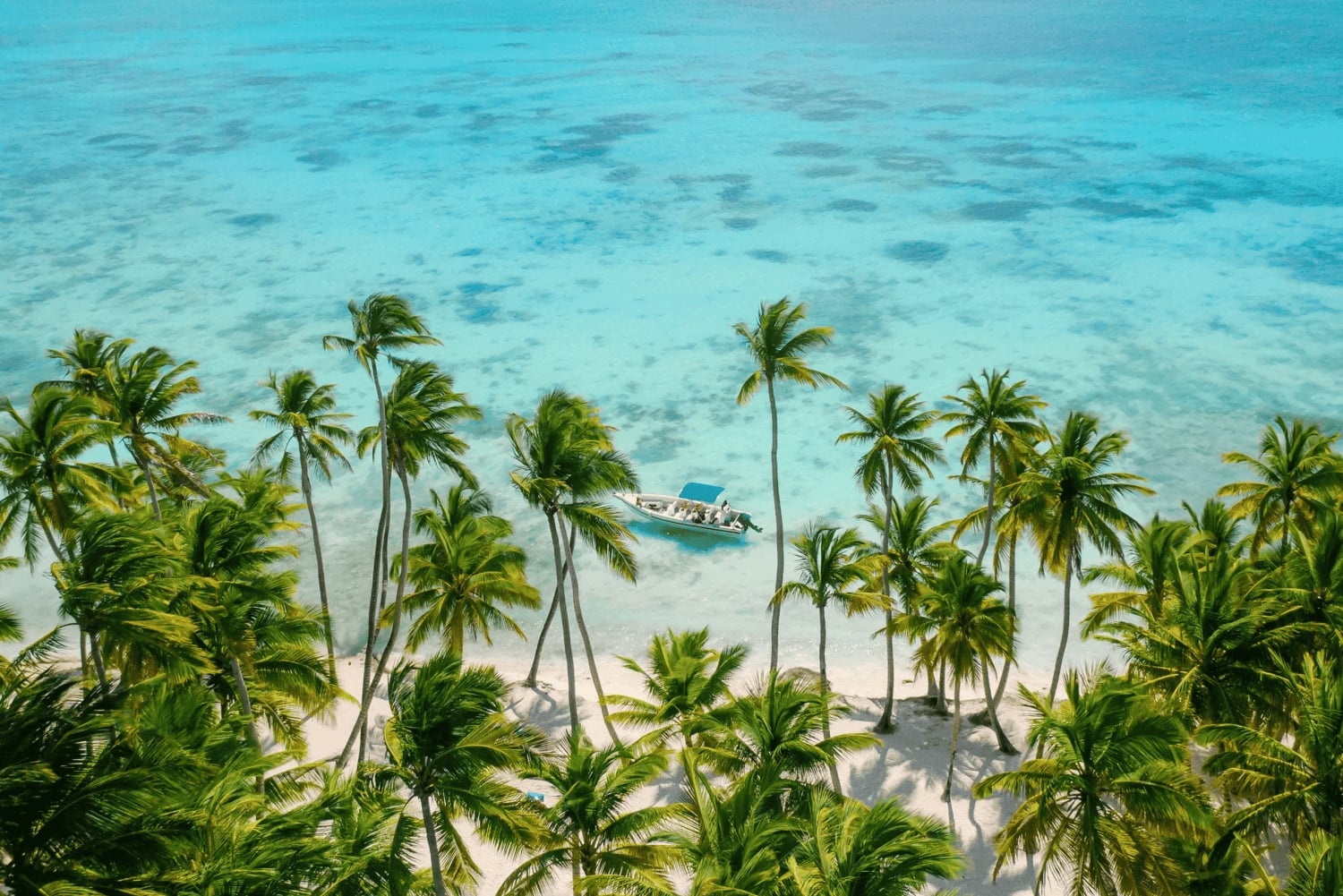 Punta Cana: Isla Saona Premium Mano Juan and exclusive beach